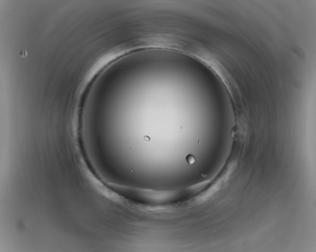 X0000114401147200910161310