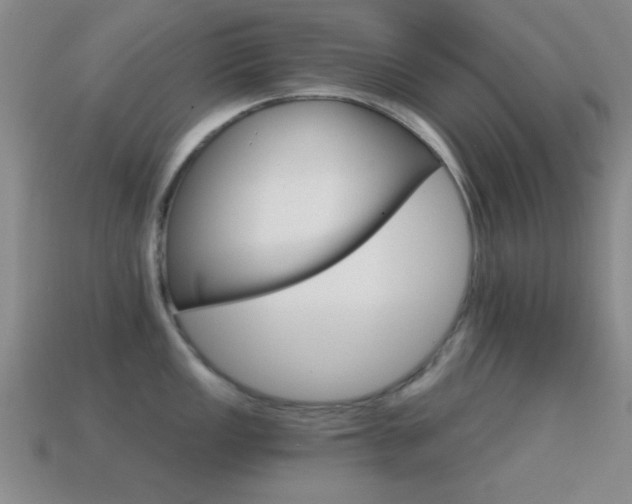 X0000114401149200910161310