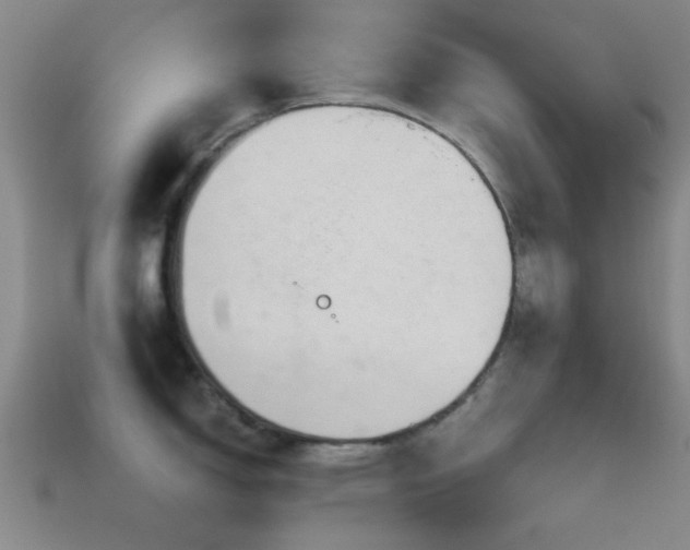 X0000114401150200910161310