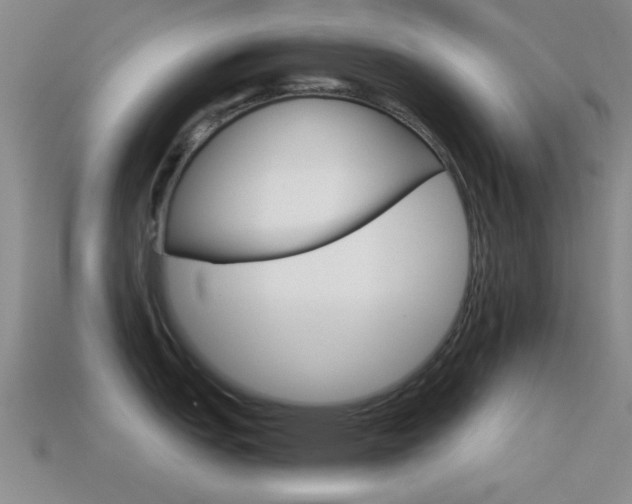 X0000114401151200910161310