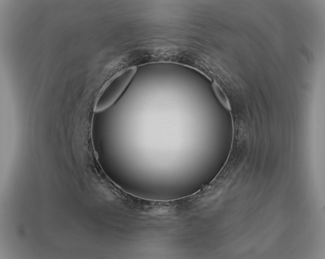 X0000114401153200910161309