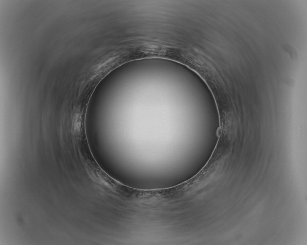 X0000114401154200910161309