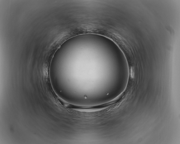 X0000114401155200910161309