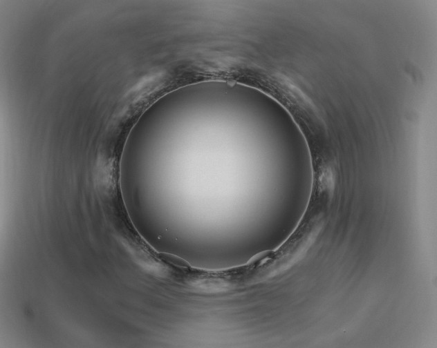 X0000114401156200910161309