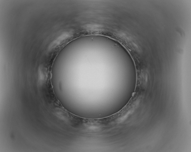 X0000114401157200910161309