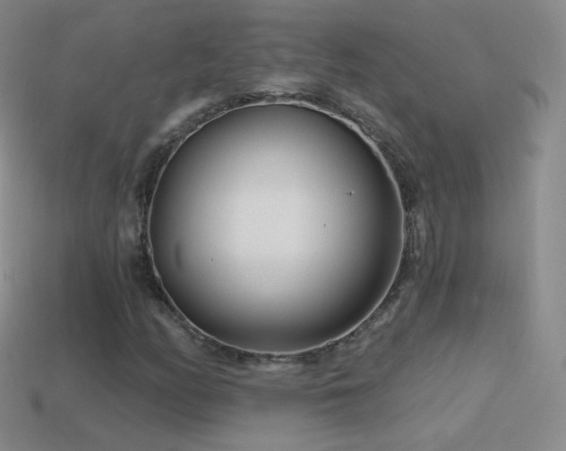 X0000114401158200910161309