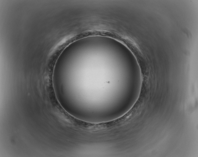 X0000114401159200910161309