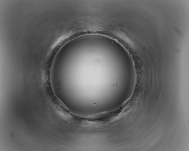 X0000114401160200910161309