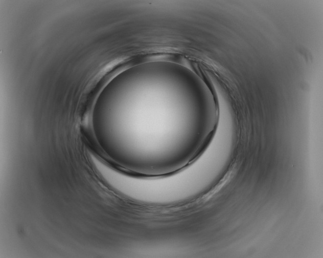 X0000114401161200910161309