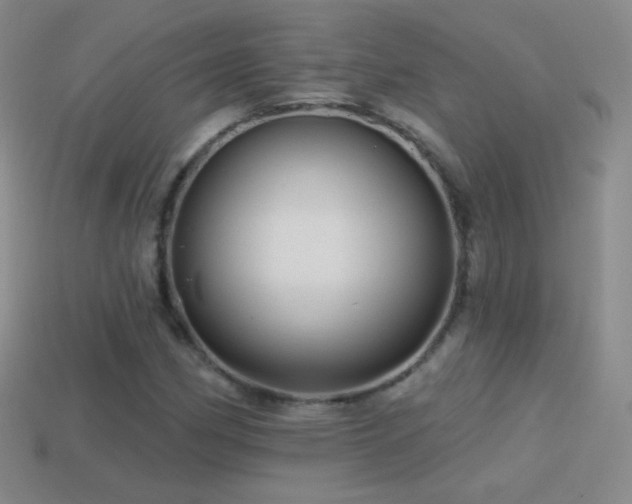 X0000114401162200910161309