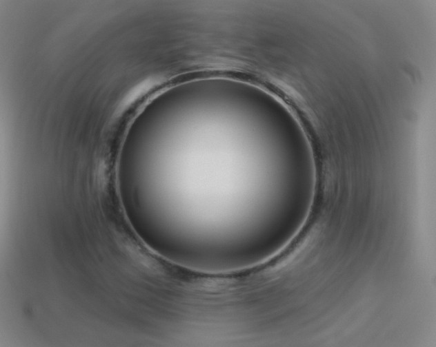 X0000114401163200910161309