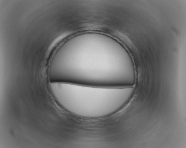 X0000114401164200910161309