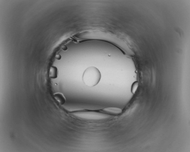 X0000114401165200910161309