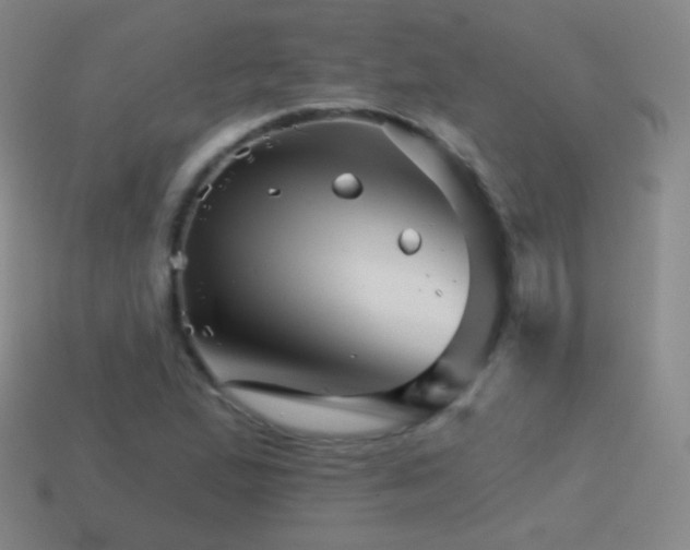 X0000114401167200910161309