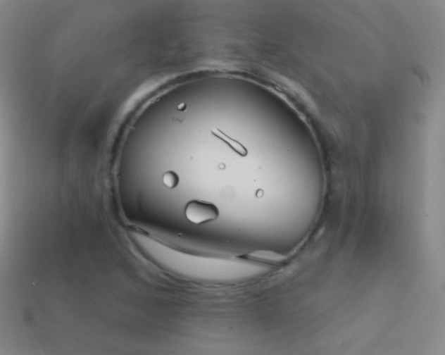 X0000114401168200910161309