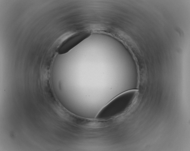 X0000114401169200910161309