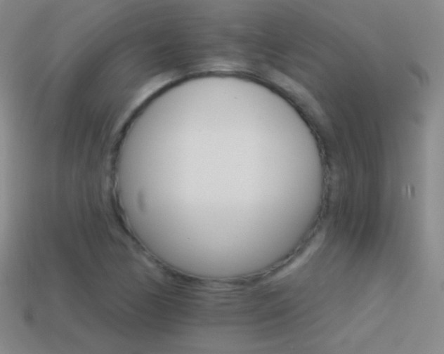 X0000114401170200910161309