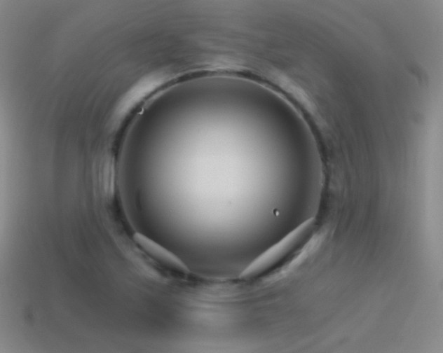 X0000114401171200910161309