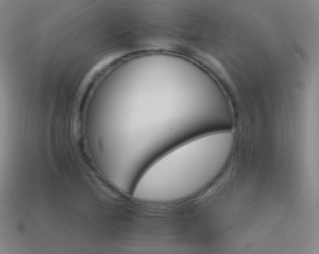 X0000114401172200910161309