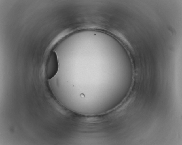 X0000114401173200910161309