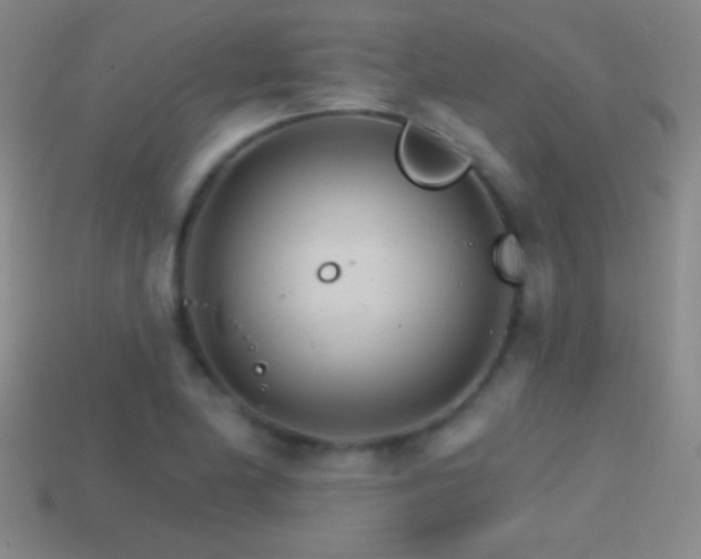 X0000114401174200910161309