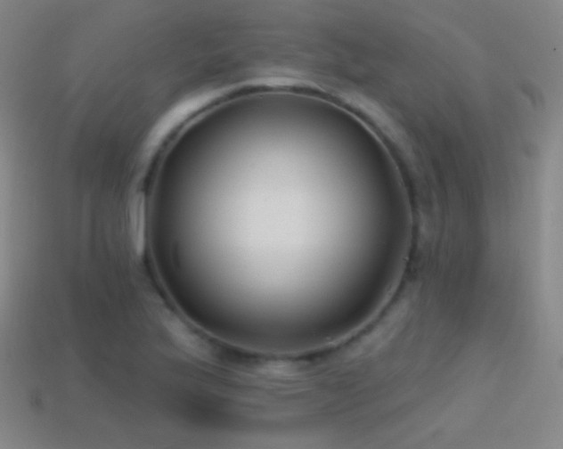 X0000114401175200910161309