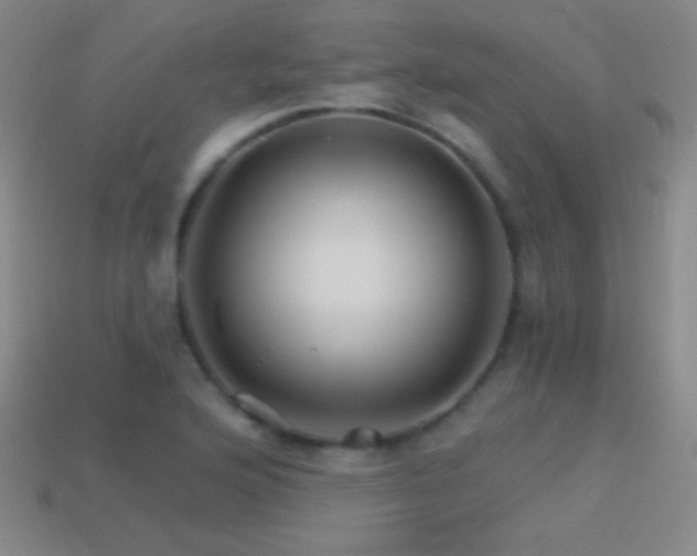 X0000114401176200910161309