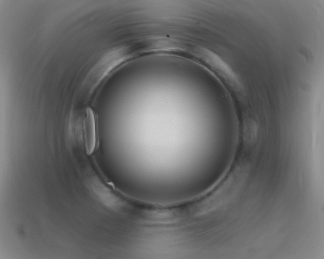 X0000114401177200910161309