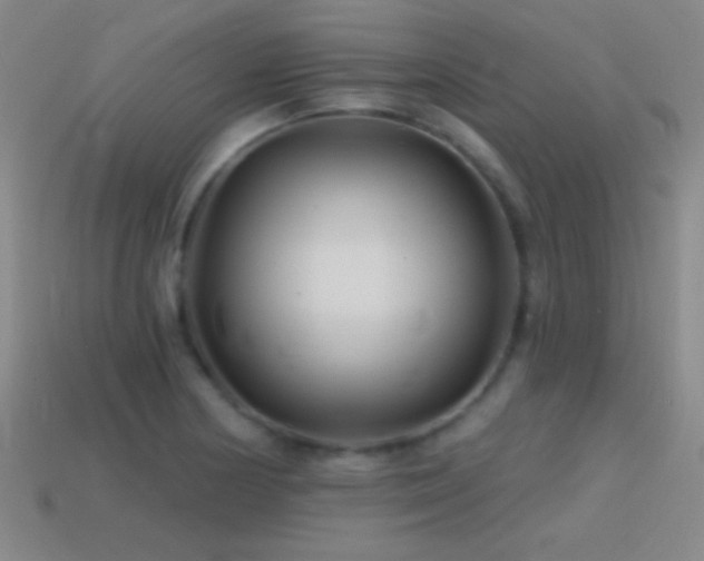 X0000114401178200910161309