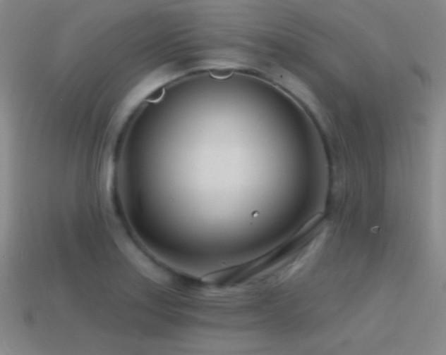 X0000114401179200910161309