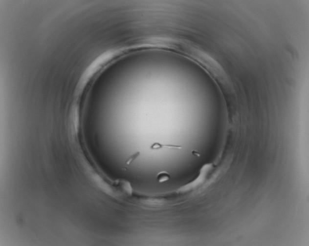 X0000114401180200910161309