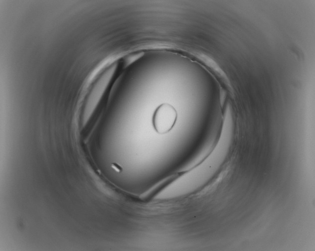 X0000114401181200910161309