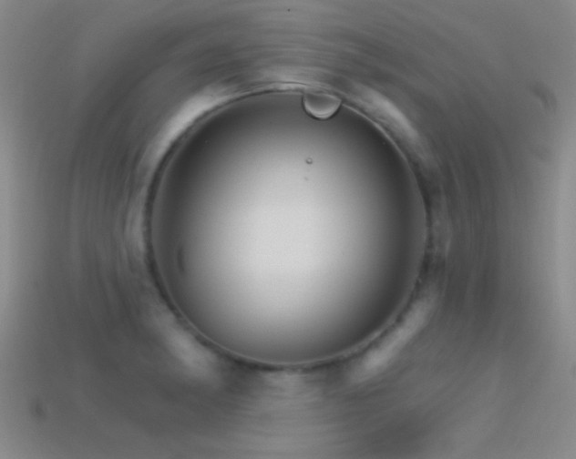 X0000114401182200910161309