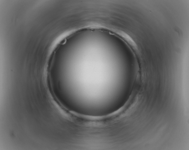 X0000114401183200910161309