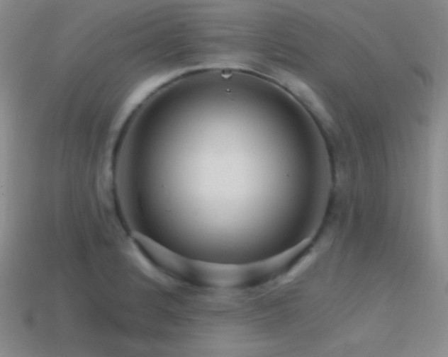 X0000114401184200910161309