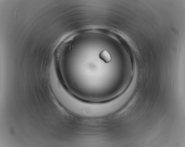 X0000114401185200910161309