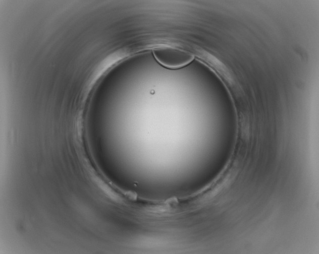 X0000114401186200910161309