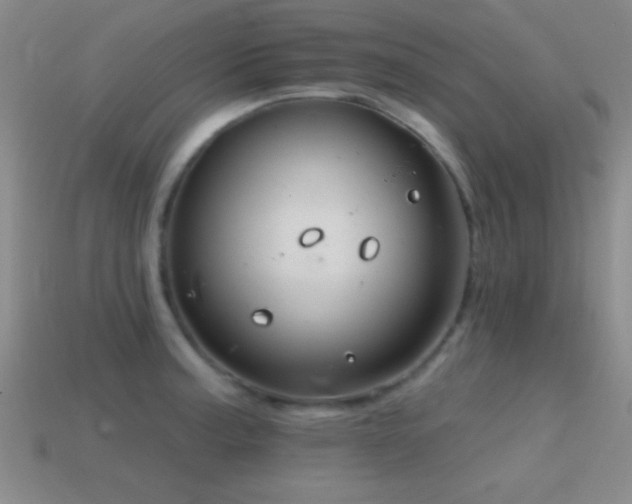 X0000114401187200910161309