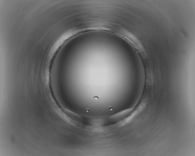 X0000114401188200910161309