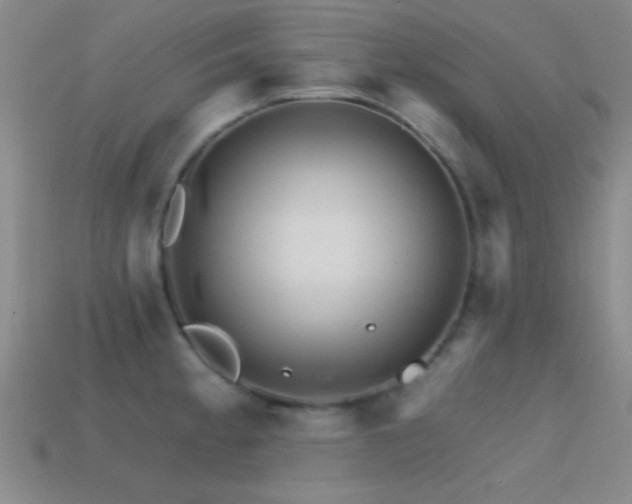 X0000114401189200910161309