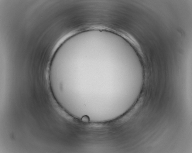 X0000114401190200910161309