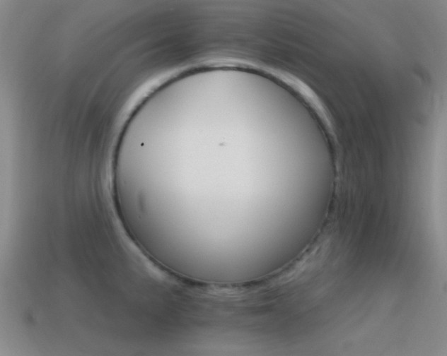 X0000114401191200910161309