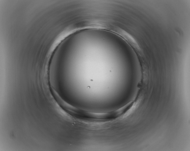 X0000114401192200910161309