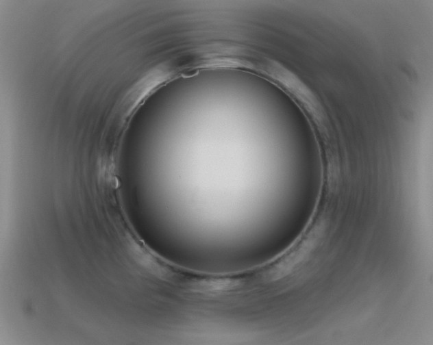 X0000114401193200910161309