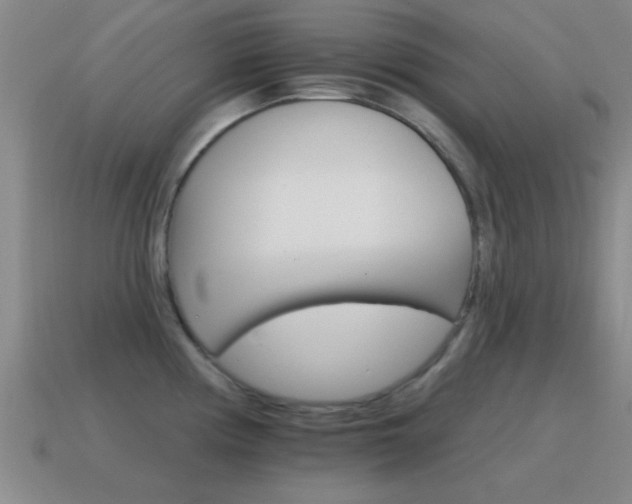 X0000114401194200910161309