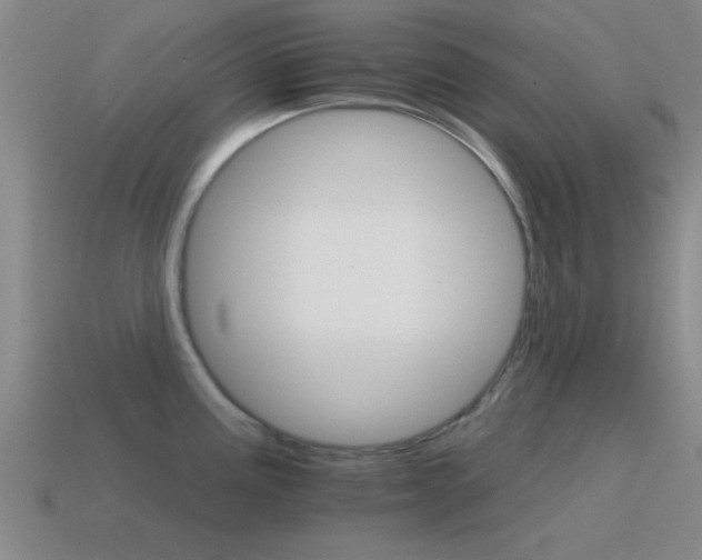 X0000114401195200910161309