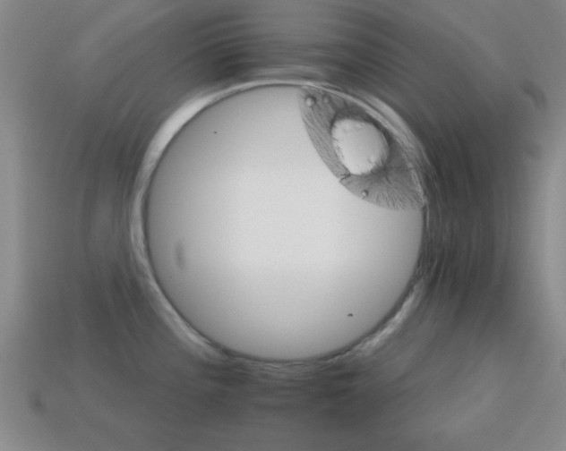 X0000114401196200910161309