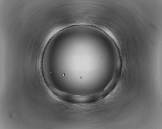 X0000114401197200910161309