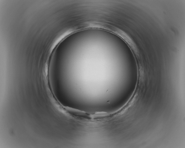 X0000114401198200910161308