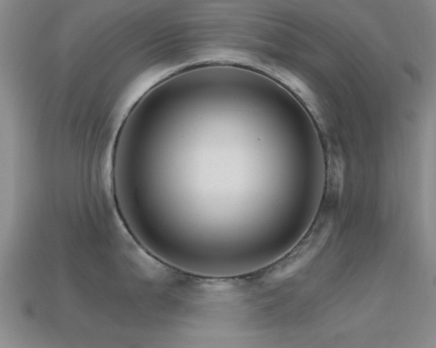 X0000114401199200910161308